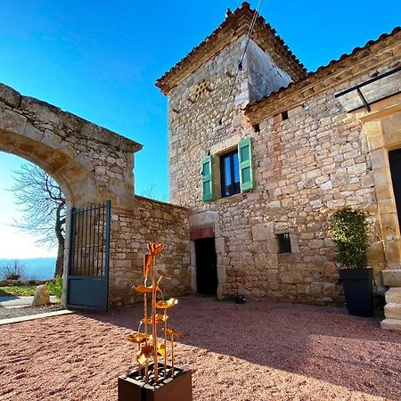 Domaine De Lejos - Portes D'Albi Lamillarie Экстерьер фото