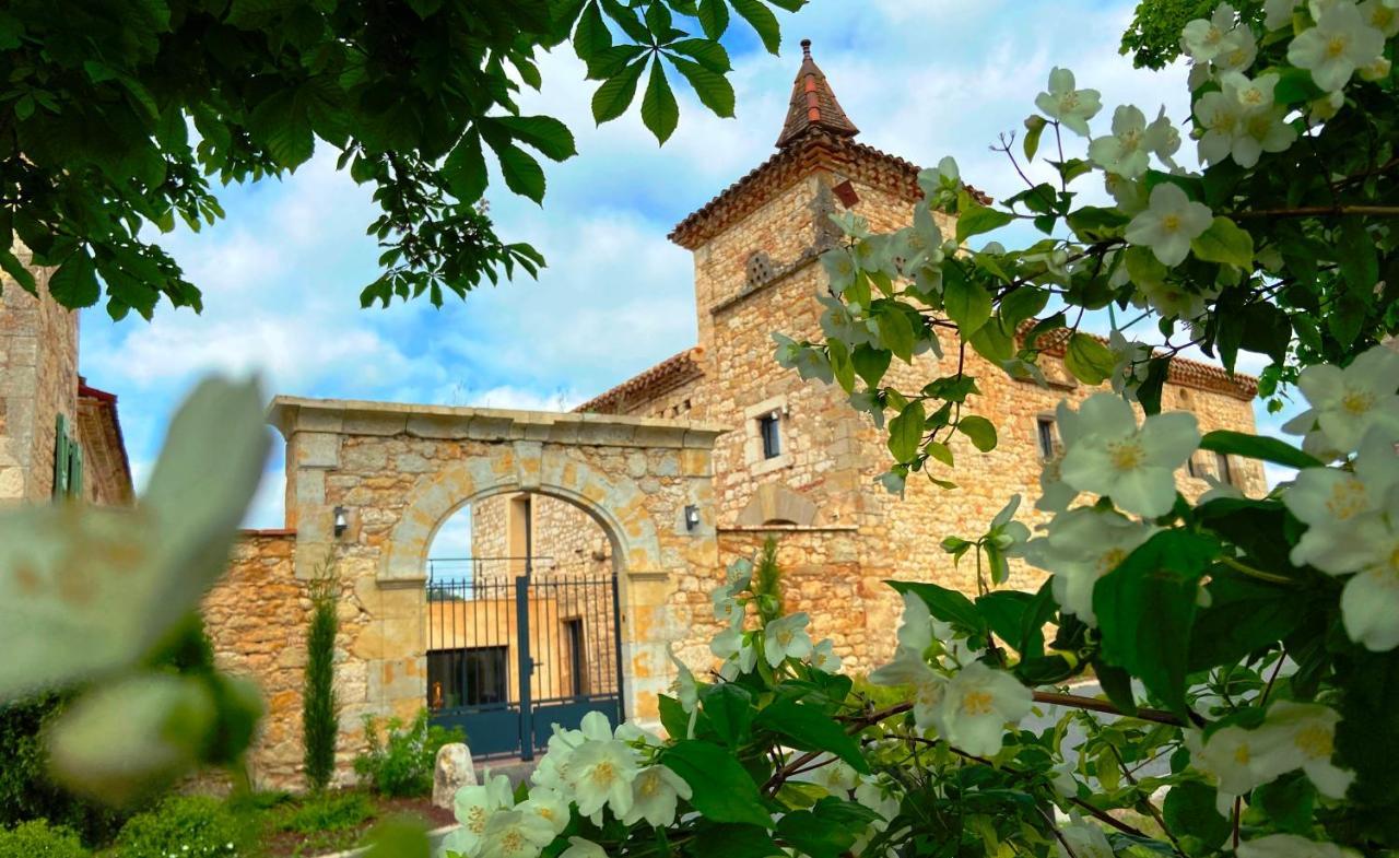 Domaine De Lejos - Portes D'Albi Lamillarie Экстерьер фото
