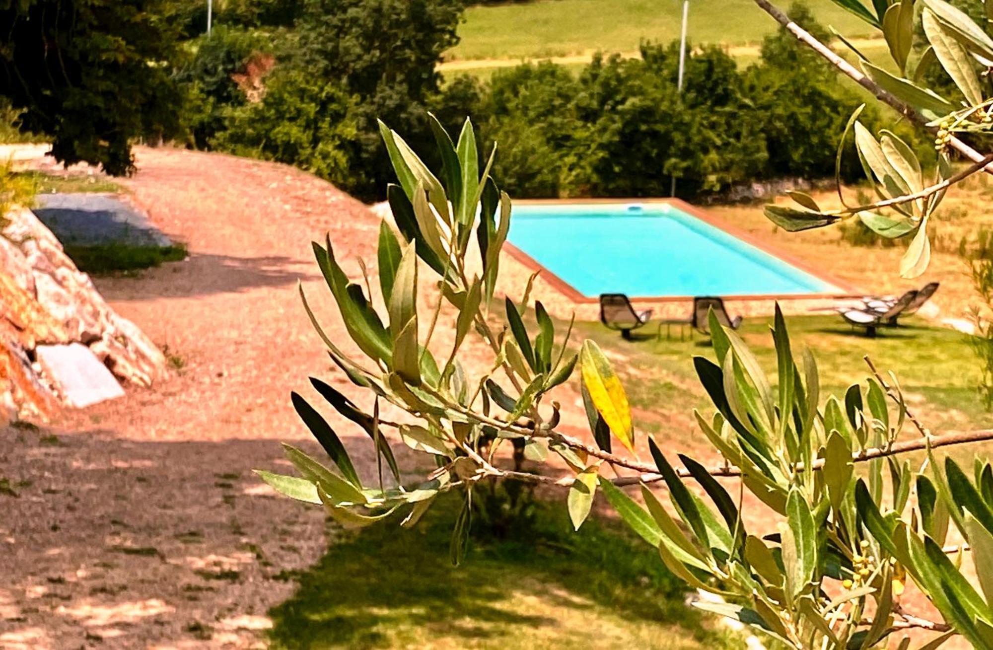 Domaine De Lejos - Portes D'Albi Lamillarie Экстерьер фото